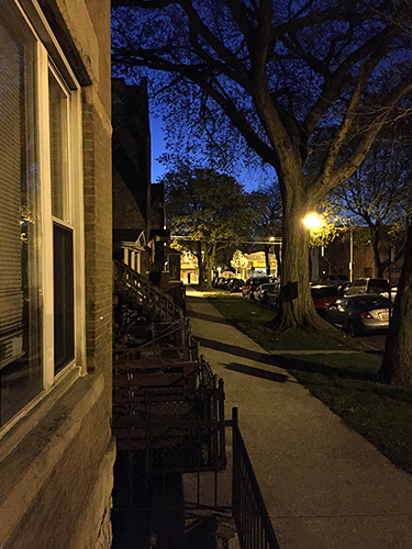 Street scene at night